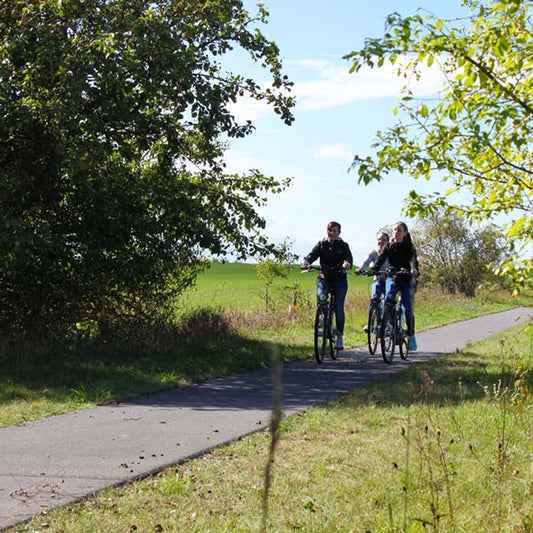 2015 vs 2025 : A Decade of Change in E-Bikes